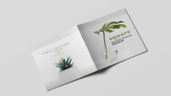 demo-attachment-1100-pic16