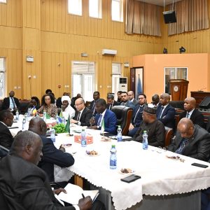 south_sudan0707_1