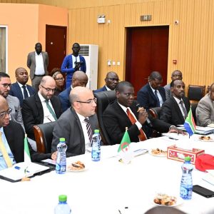 south_sudan0708_3