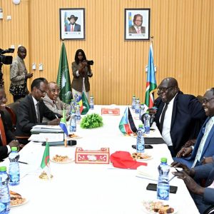 south_sudan0708_4